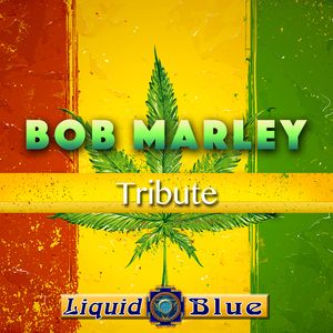 Bob Marley Tribute