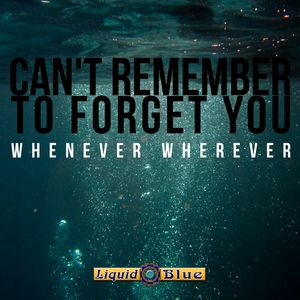 Cant Remember To Forget You - Liquid Blue
