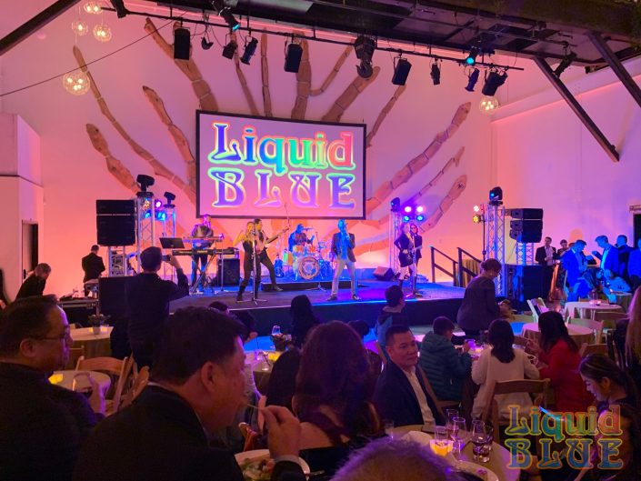 Liquid Blue Party Band & Wedding Music Band for Events